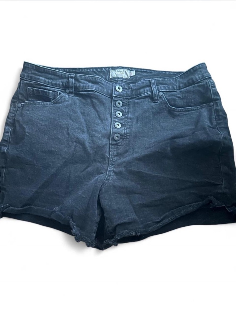 Torrid Dark Blue Jean Shorts